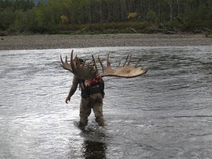 ryan crossing stream.jpg