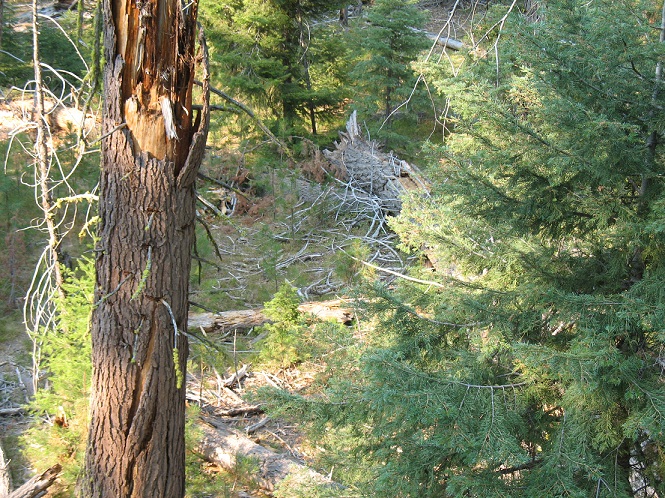 Bow Hunt 2012 001 (27).JPG