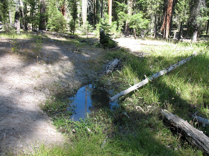 Bow Hunt 2012 001 (32).JPG