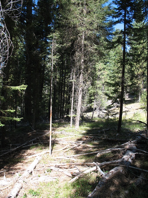 Bow Hunt 2012 001 (36).JPG