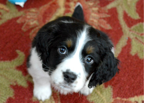 DSC_0001 (2) edit small.jpg