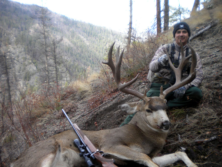 Unit 19 Deer - 25.jpg
