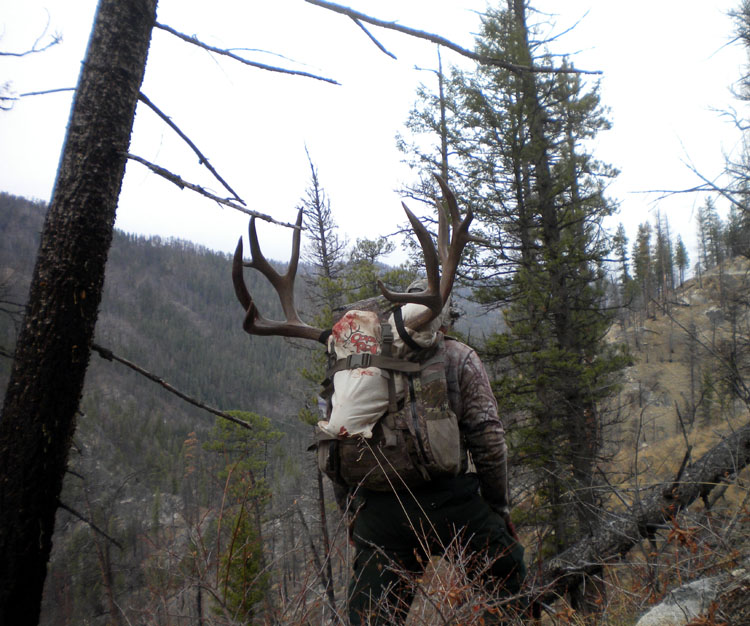 Unit 19 Deer - 43.jpg