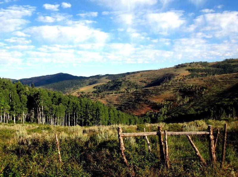 Elk country.jpg
