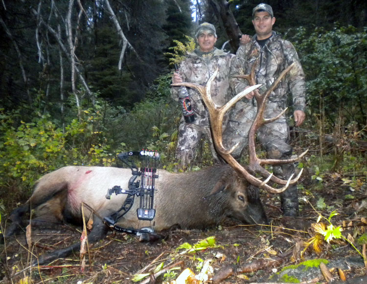 25 2015 Paul II Six Point Bull.jpg