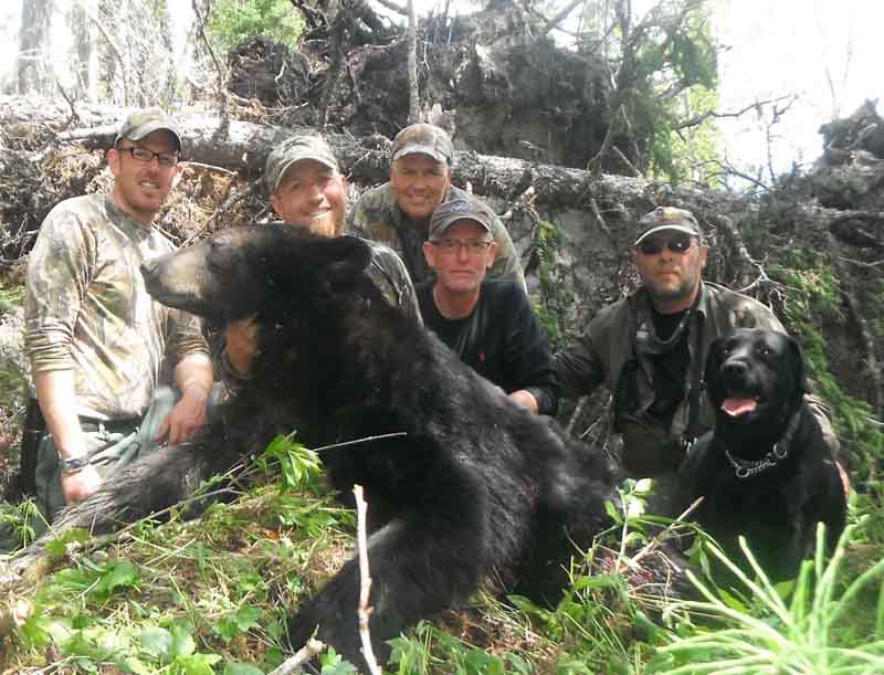 group bear 800.jpg