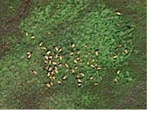 Untitled.png