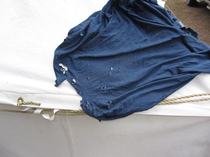 merino shirt 800pix.jpg