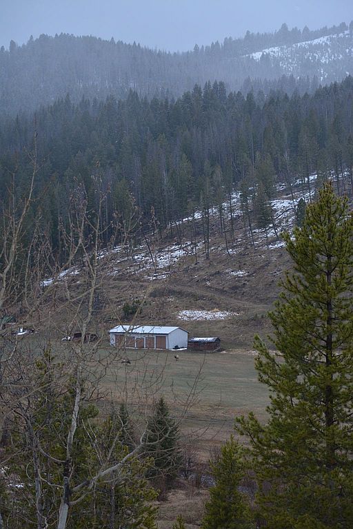 long shot of elk 512 x 768.jpg