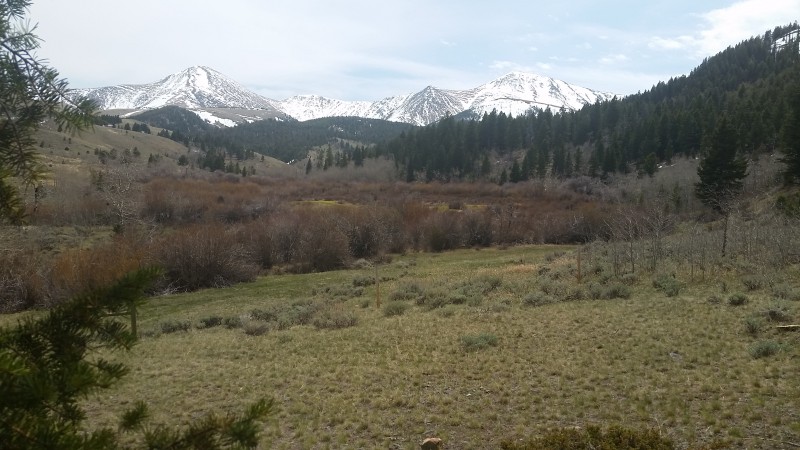 20170506_131436.jpg