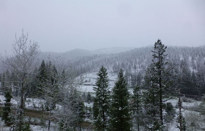 About an inch of snow today 800x600.jpg