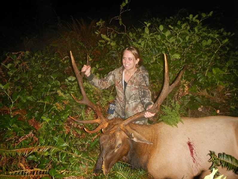 mels bull.JPG