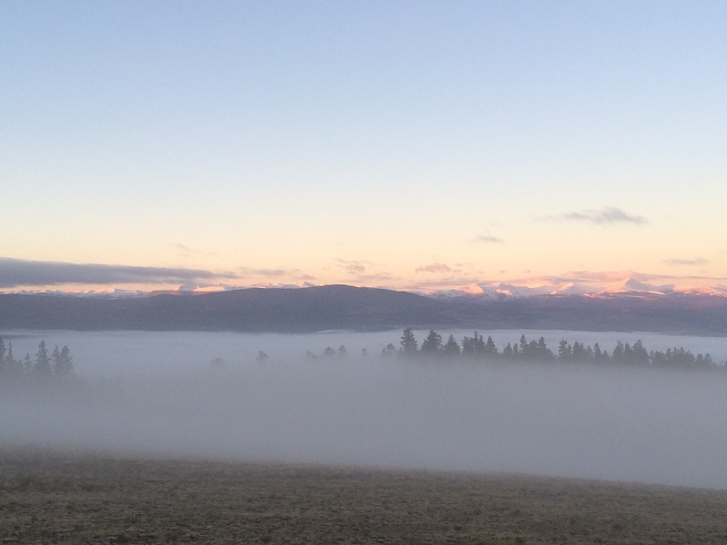 photo 13.jpg
