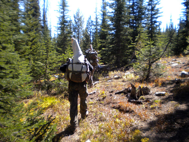 Jerry 2010 Bull 14.jpg