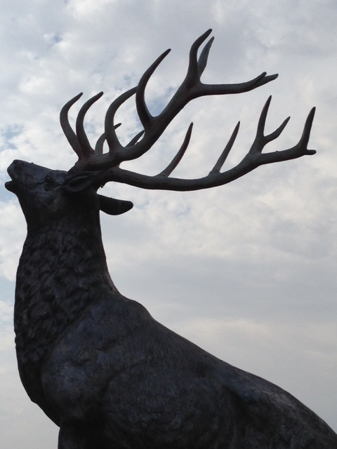 Elk.png