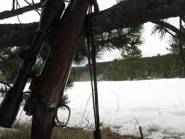 #1 Trumpkin the Dwarf.jpg