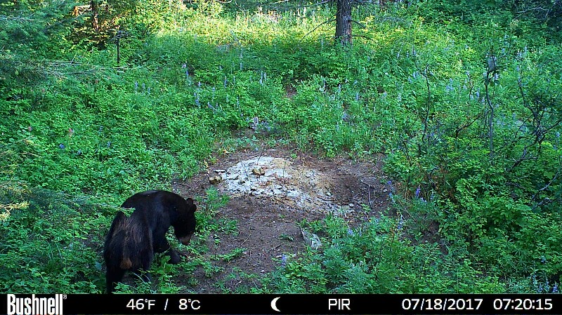 HUNT0081 (2)-800x449.JPG