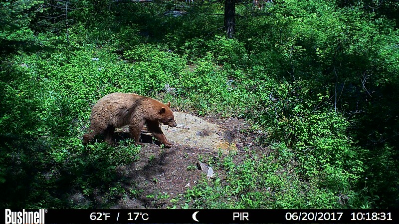 HUNT0063-800x449 (1).JPG