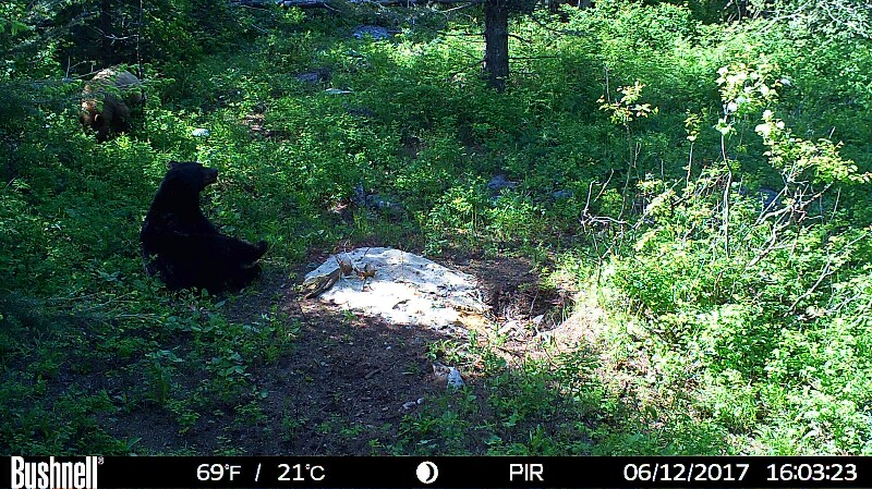 HUNT0086-800x449 (1).JPG