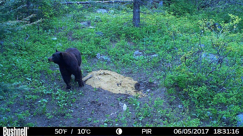 HUNT0175-800x449 (1).JPG