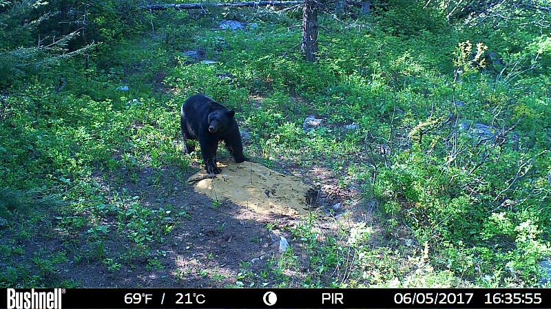 HUNT0128-800x449 (1).JPG