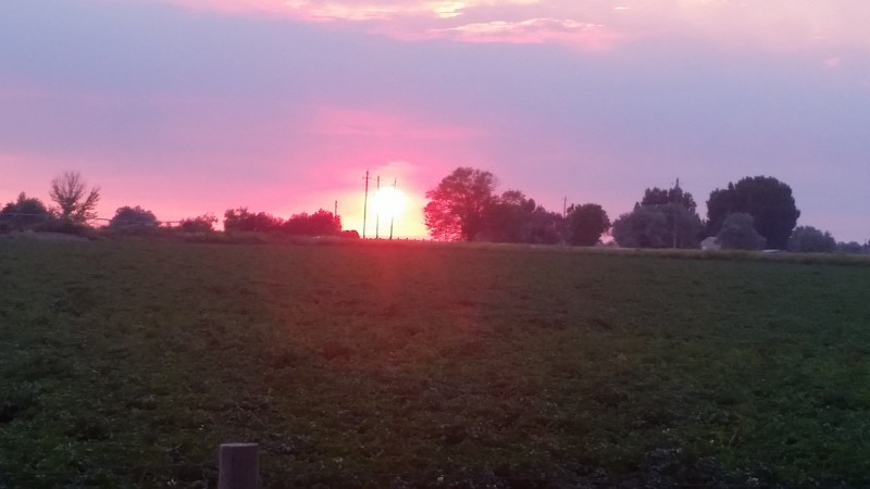 20170730_204449.jpg