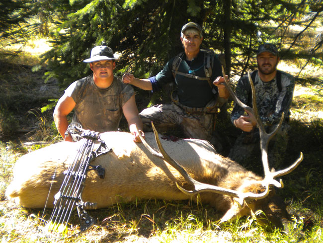 Jerry 2010 Bull 09.jpg