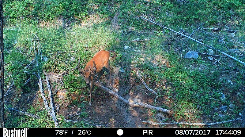 HUNT0187 (2)-800x449.JPG