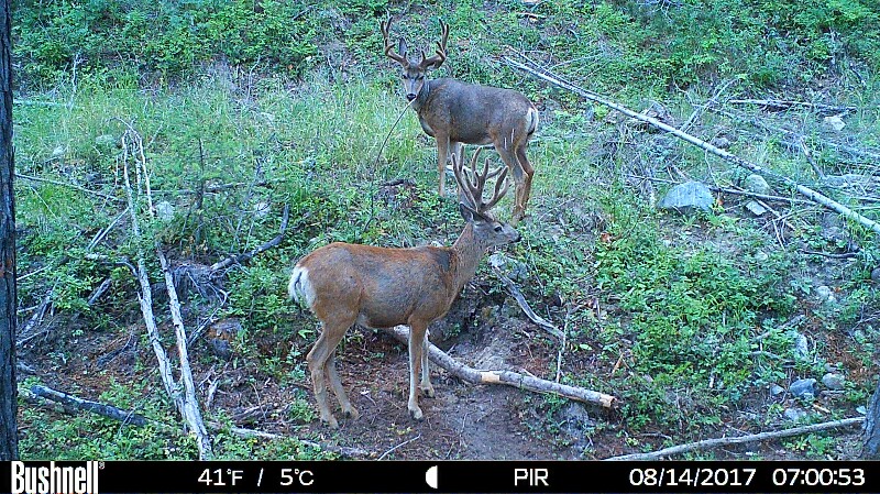 HUNT0291 (2)-800x449.JPG