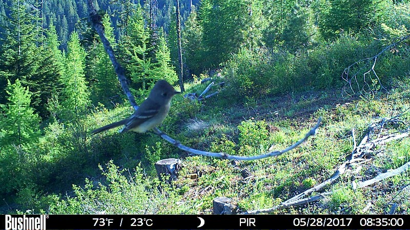 HUNT0039 (4)-800x449.JPG