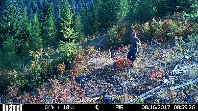 HUNT0237 (3)-800x449.JPG