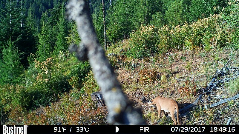 HUNT0104 (3)-800x449.JPG