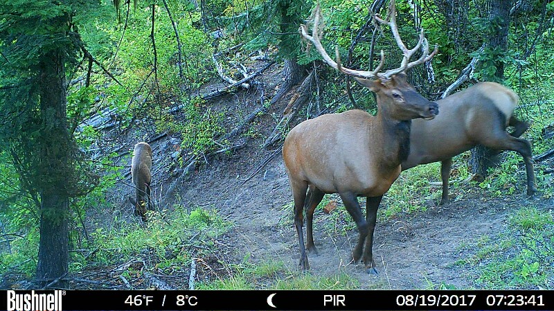 HUNT0009-800x449.JPG