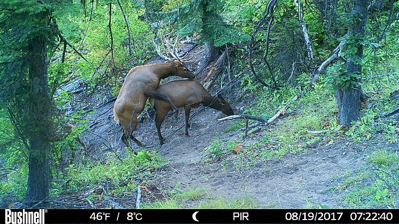HUNT0002-800x449.JPG