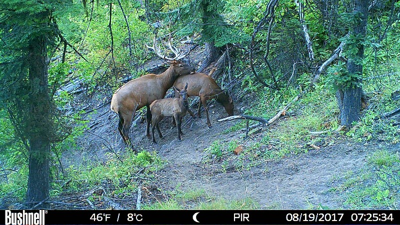 HUNT0014-800x449.JPG