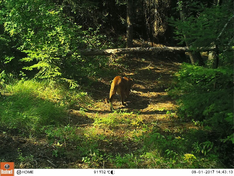 08010042-800x600 (1).JPG