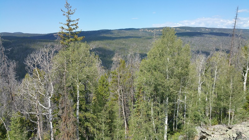 backside view from top bow 2017.jpg