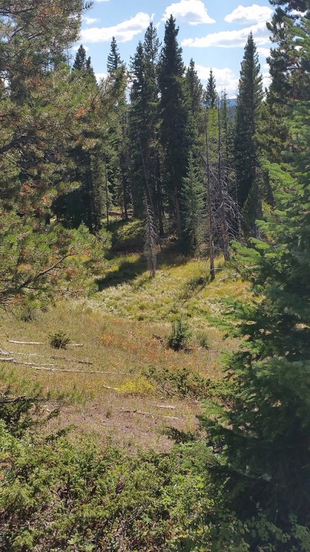 backside marsh bow 2017.jpg