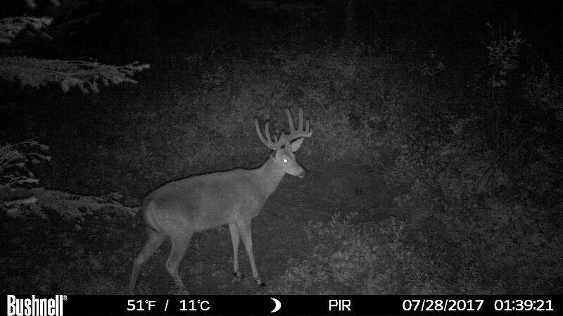HUNT0028 (2)-800x449.JPG