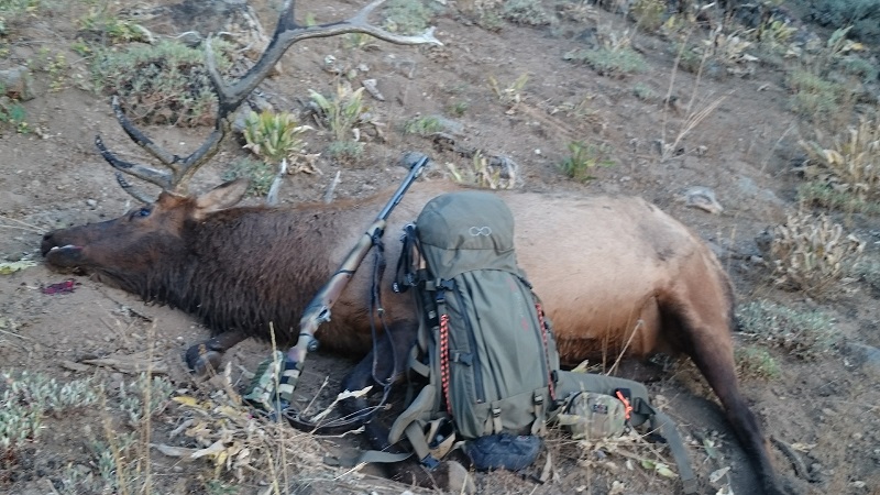 Wapiti talk gun and pack.jpg