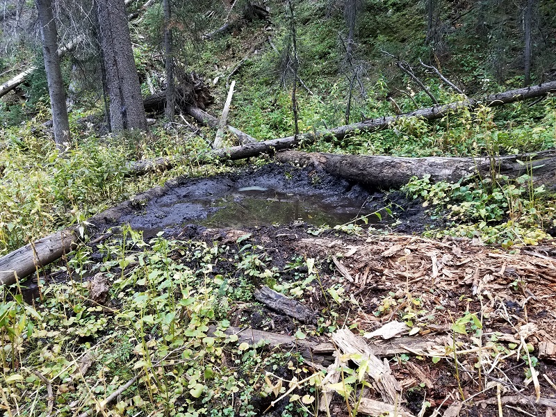 little wallow.jpg