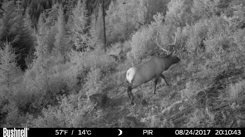 HUNT0063-800x449.JPG