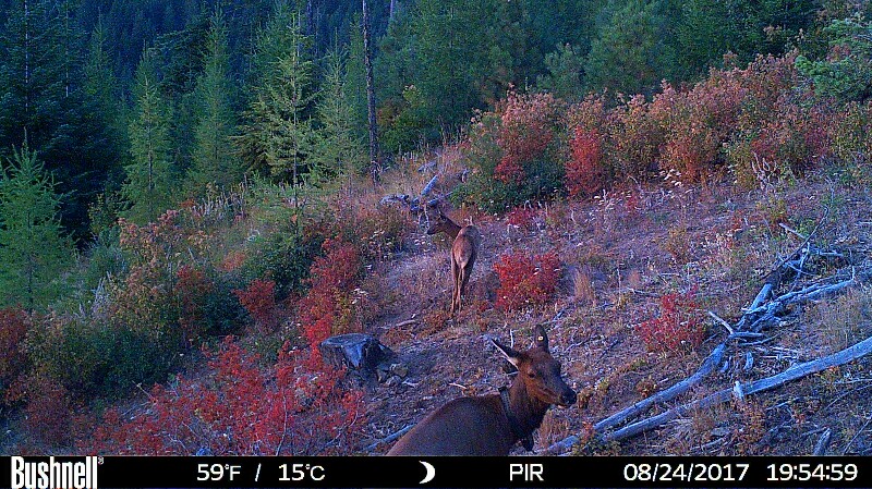 HUNT0060-800x449.JPG