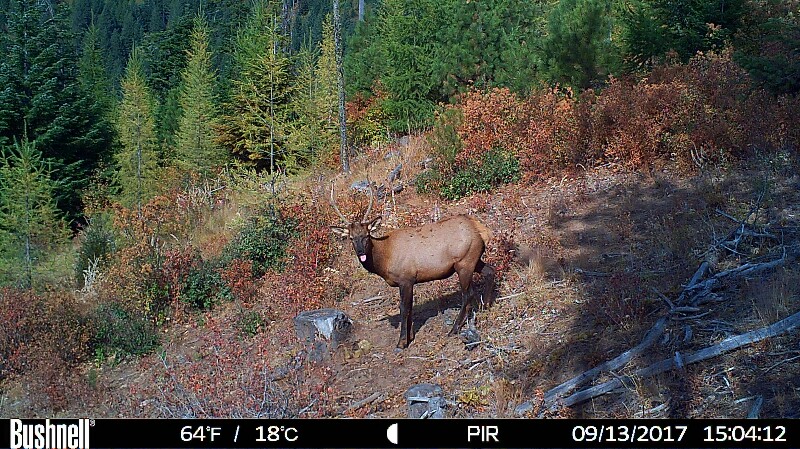 HUNT0107-800x449.JPG