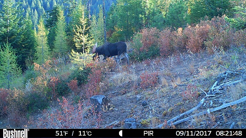 HUNT0098-800x449.JPG