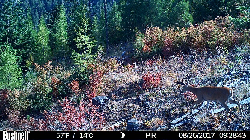 HUNT0066-800x449.JPG