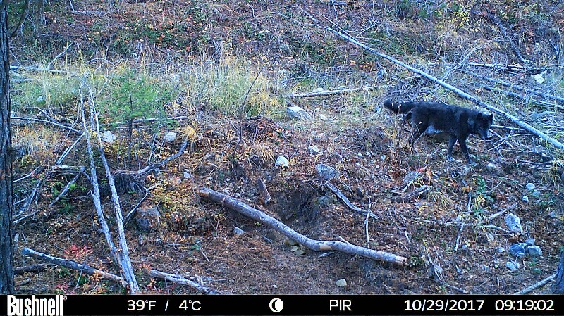 HUNT0237-800x449.JPG
