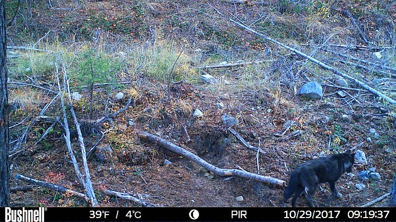 HUNT0239-800x449.JPG