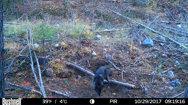 HUNT0238-800x449.JPG
