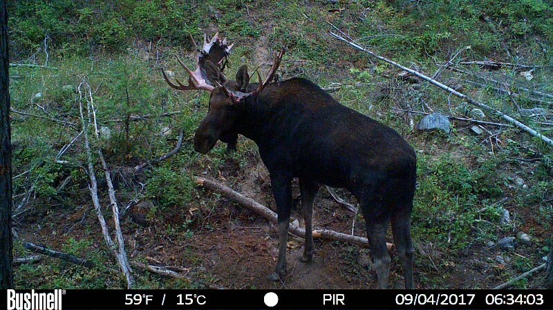 HUNT0258 (2)-800x449.JPG